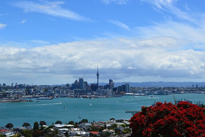 Private Transfer From Auckland International Airport To Auckland City - Small practical notes that can save you time