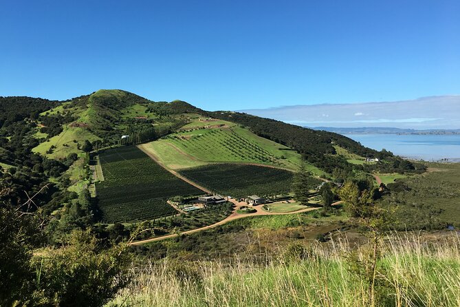 Private Vineyard Bush Walk Tour in Waiheke Island - Quick hits before you book