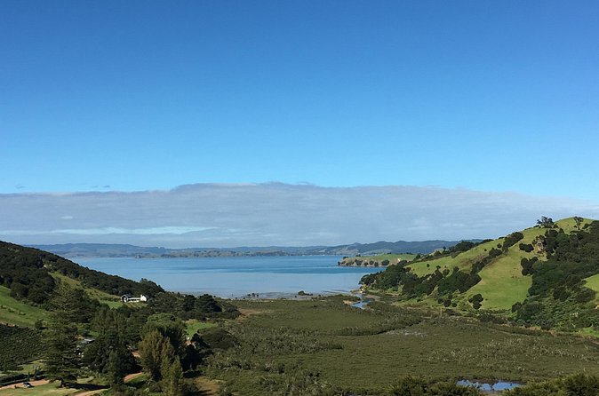 Private Vineyard Bush Walk Tour in Waiheke Island - Two vineyard stops: included tastings and smart money moves