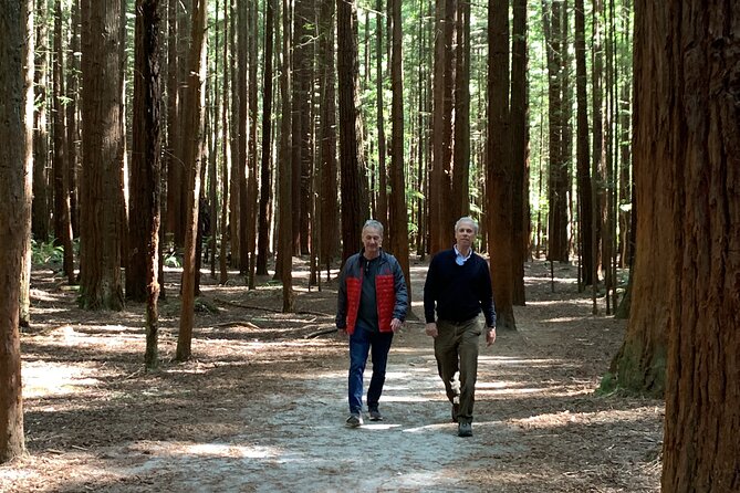 Redwood Forest , Blue Springs & Huka Falls Day Tour from Auckland - Rotorua’s Redwood Forest at Whakarewarewa: Towering Trees in a Short Walk
