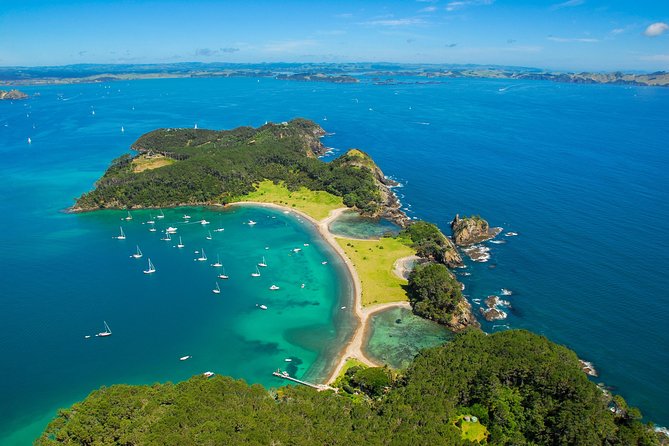 Redwood Forest , Blue Springs & Huka Falls Day Tour from Auckland - Price and Value at $372.34: What Makes It Cost-Justifiable