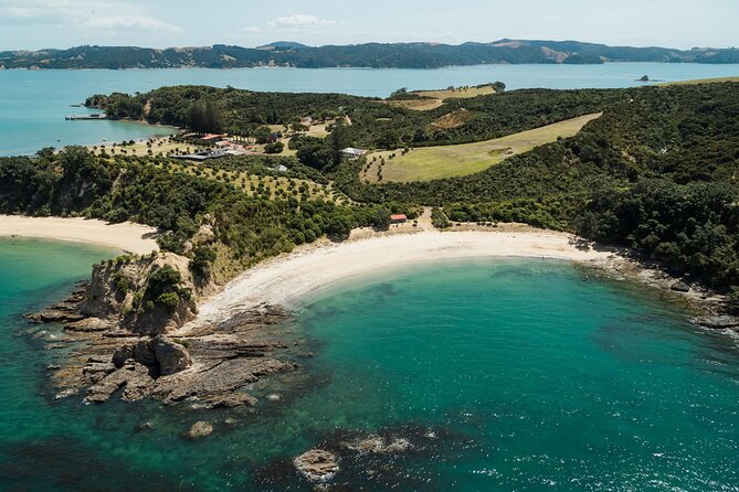 Rotoroa Island and Man O' War Vineyard Combo from Auckland - Man O’ War Vineyard: wine tasting plus ocean views