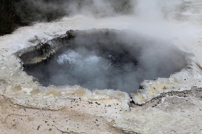 Rotorua and Waitomo Caves Day Trip from Auckland -Smaller Groups - Waitomo Glowworm Caves Boat Ride: How to See the Magic Best