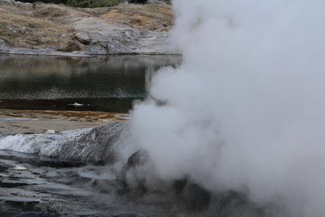 Rotorua and Waitomo Caves Day Trip from Auckland -Smaller Groups - Price and Value: Is $316.49 a Fair Deal?