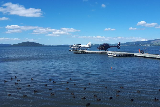 Rotorua Full Day Private Tour from Auckland - Te Whakarewarewa Geothermal Valley: Mud Pools to Pohutu Geyser