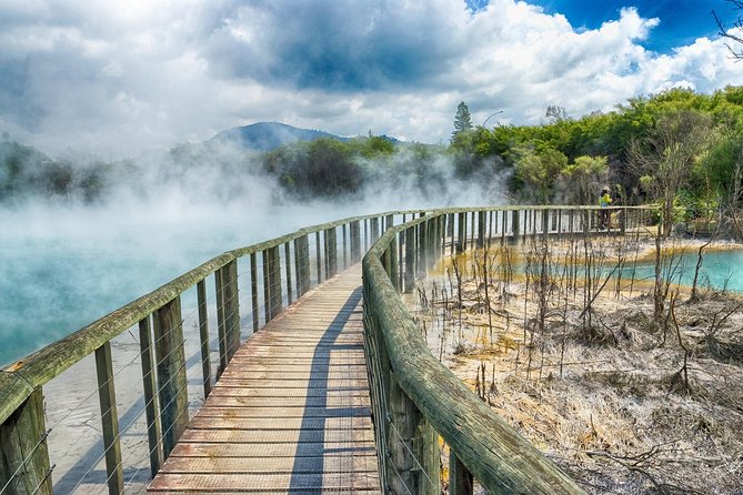 Rotorua Full Day Private Tour from Auckland - Price and Value: What $216.58 Buys You
