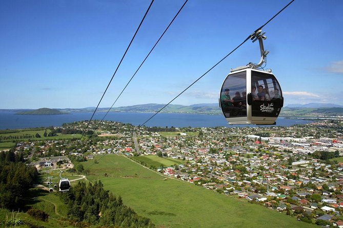 Rotorua Full Day Private Tour from Auckland - Who This Tour Fits Best (and Who Might Prefer Another Plan)