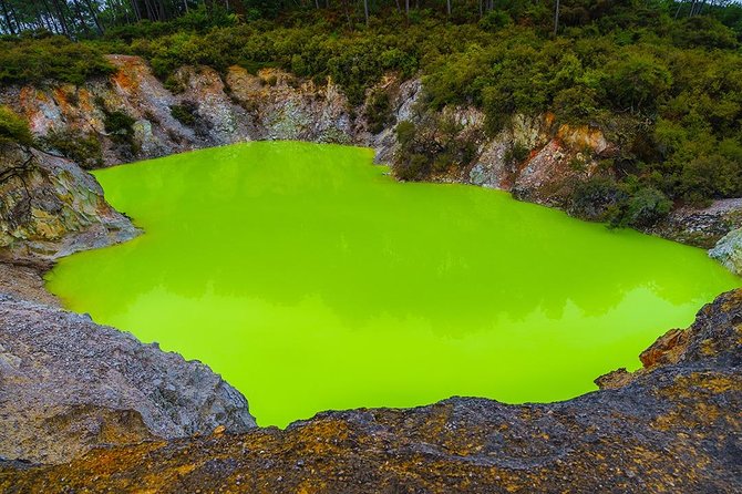 Rotorua Highlights inc. Waiotapu & Te Puia Day Tour from Auckland - Group Size, Guides, and the Big Difference Between Okay and Great