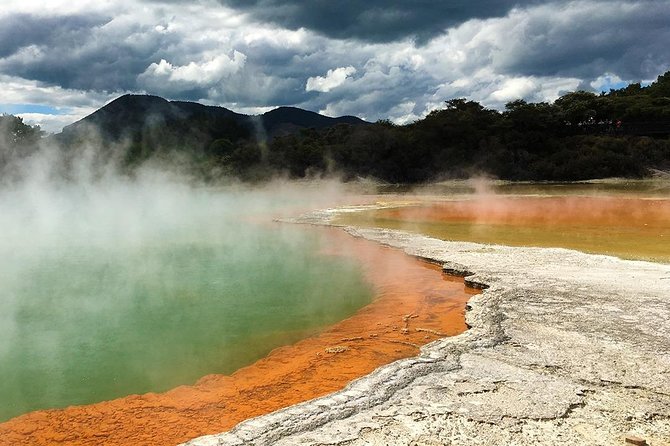 Rotorua Highlights Tour from Auckland with Optional Extras - Redwoods and nature time: good when you need a breath