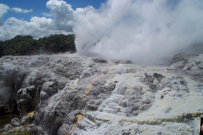 Rotorua Small-Group Day Tour from Auckland - Auckland to Rotorua: the ride you’ll actually enjoy