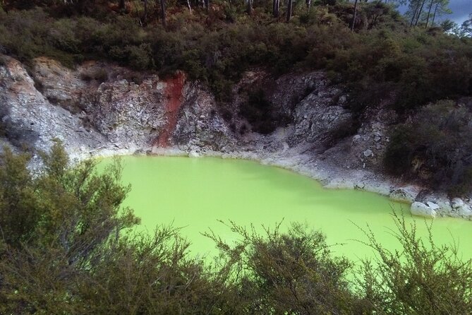Rotorua Small-Group Day Tour from Auckland - Guide impact: why the person in the front seat changes the whole day