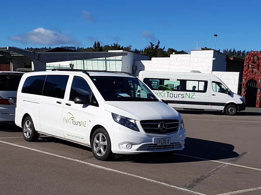 Rotorua to Auckland - Afternoon Transfer with Waitomo Caves - Rotorua to Auckland With Waitomo Caves: the afternoon plan that actually makes sense