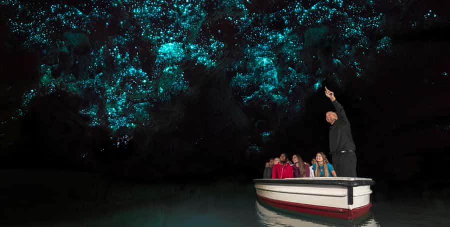 Rotorua to Auckland - Afternoon Transfer with Waitomo Caves - Door-to-door pickup and the small-group comfort (max 12)
