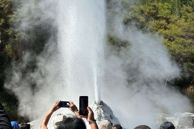 Rotorua: WaiOtapu & Redwood forest & Blues springs from Auckland - Private transport and early pickup: comfort that pays off