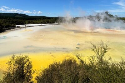 Rotorua: WaiOtapu & Redwood forest & Blues springs from Auckland - Wai-O-Tapu Thermal Wonderland: color, walkways, and the famous steam show