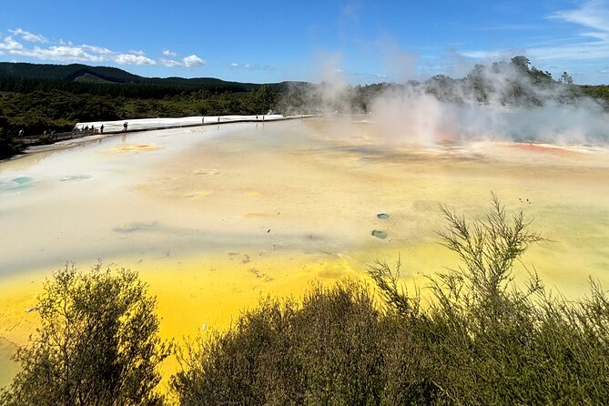 Rotorua: WaiOtapu & Redwood forest & Blues springs from Auckland - Wai-O-Tapu Thermal Wonderland: color, walkways, and the famous steam show