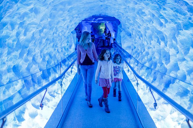 SEA LIFE Kelly Tarlton's General Admission - Practical timing: how to pace it so you don’t feel rushed