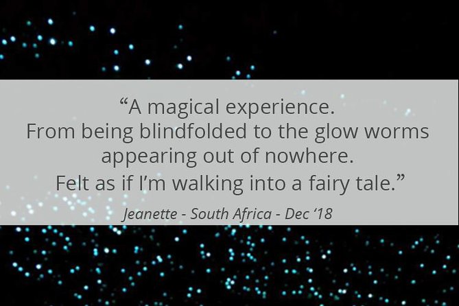 See Auckland's Secret Glow Worms - What You’ll See in the Bush Reserve (and How to Spot It)