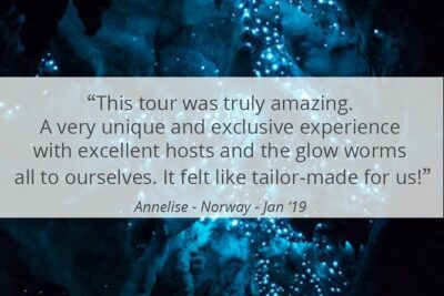 See Auckland's Secret Glow Worms - Meeting at 99 Quay Street (The Ferry Building) and Getting Out of the City