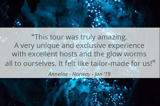 See Auckland's Secret Glow Worms - Meeting at 99 Quay Street (The Ferry Building) and Getting Out of the City