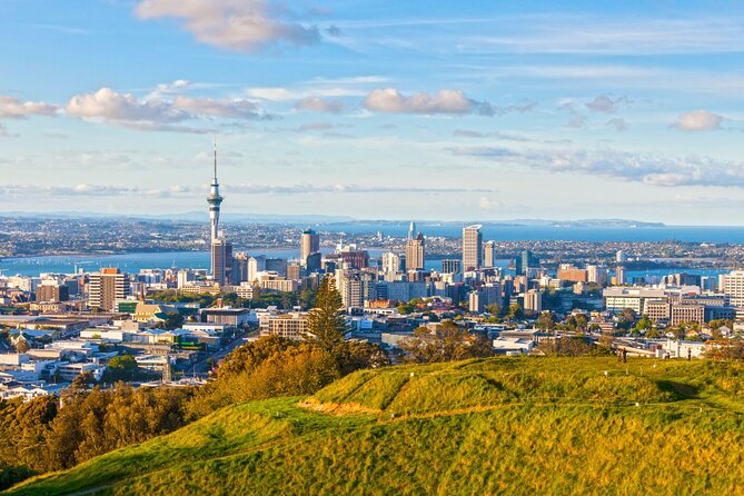 Sheep Shearing and Auckland City Highlights Tour with Lunch - Neighborhood drives that give you real Auckland texture