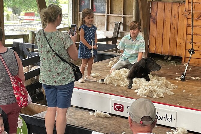 Sheep World Country Tour from Auckland - Stop 3: Sheepworld Farm Park for shearing, sheep dogs, and hands-on learning