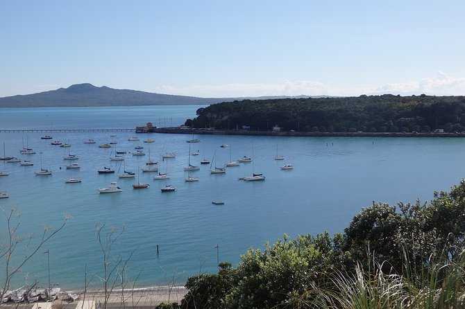 Shore Excursion: Auckland Scenic Full Day Tour - 8 Hours - How the 8 hours actually works: lots of stops, quick moments, photo-first pacing