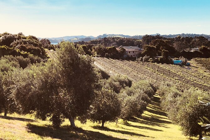 Sip & Savour through Waiheke Island (11 guests max) - Guides and hospitality: the difference between information and hosting