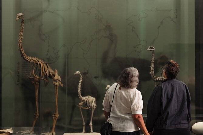 Skip the Line: Auckland Museum General Admission Ticket - War Memorial and Military Past: Serious Themes, Real Meaning