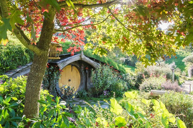 Small-Group Hobbiton and Waitomo Day Tour with Lunch from Auckland - Why combine Hobbiton and Waitomo in one Auckland day