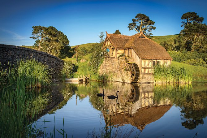 Small-Group Hobbiton Tour from Auckland with Party Marquee Lunch - Should you book this Hobbiton tour from Auckland?