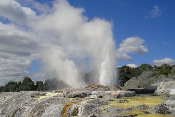Small Group Waitomo and Rotorua including Te Puia Tour - Key highlights you should care about