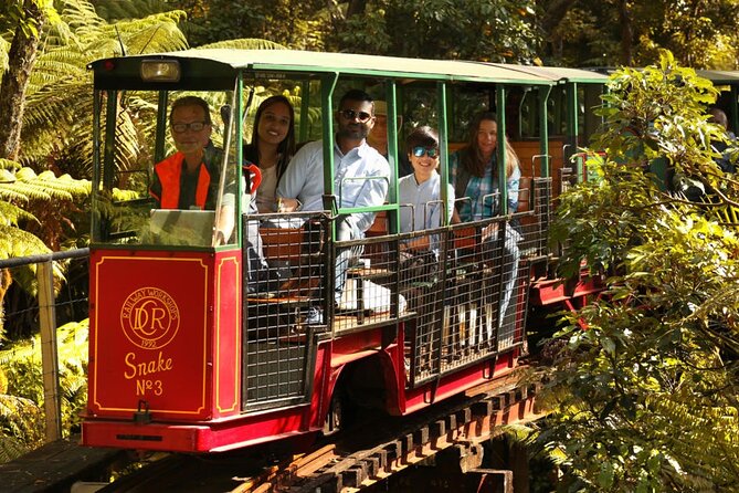 [Stevong Travel] West Coromandel Day Tour - Price and what you really get from a private West Coromandel day