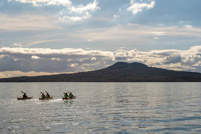 Sunset kayak tour to Rangitoto Island - The Rangitoto Hike After Dinner: Volcanic Views With a Real Workout