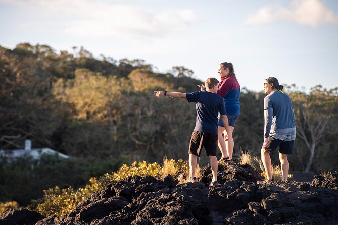 Sunset kayak tour to Rangitoto Island - BBQ on Rangitoto: The Included Meal That Makes It Feel Complete
