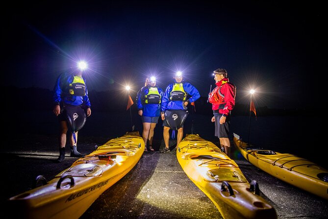 Sunset kayak tour to Rangitoto Island - Small Groups and Experienced Guides: Why Max 8 Matters