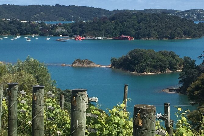 The Boutique Experience: Waiheke Best Cellar Tour (11 guests max) - Waiheke Best Cellar Tour in a Nutshell: what you’re really buying