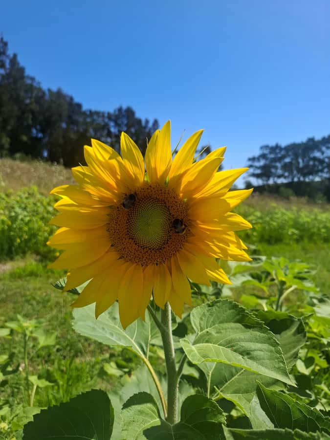 The Boutique Experience: Waiheke Island Best Cellar Tour - Price and value: is $124 a fair deal?