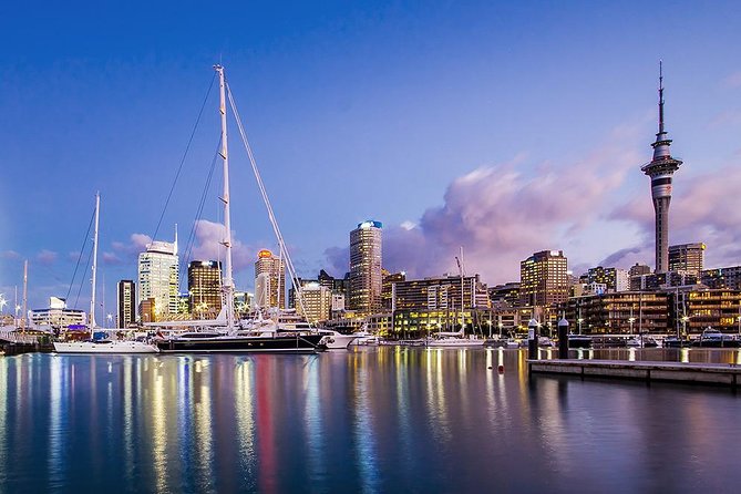 The City Lights: a unique electric bike tour of Auckland by night! - How the City Lights night e-bike tour works around Auckland