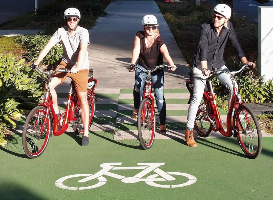 The Classic: Discover Amazing Auckland on an Electric Bike - Princes Wharf Start: Gear Up for a 3.5-Hour Auckland Spin