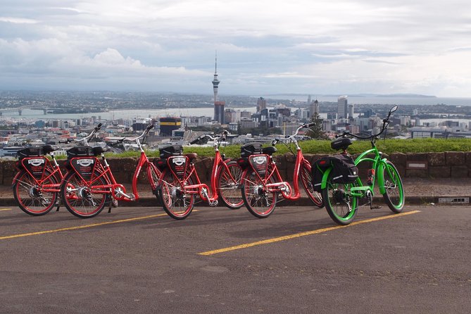The Classic: our most popular electric bike tour of Auckland's Highlights - Harbour Bridge Learning Stop: Brief, Focused, Worth It