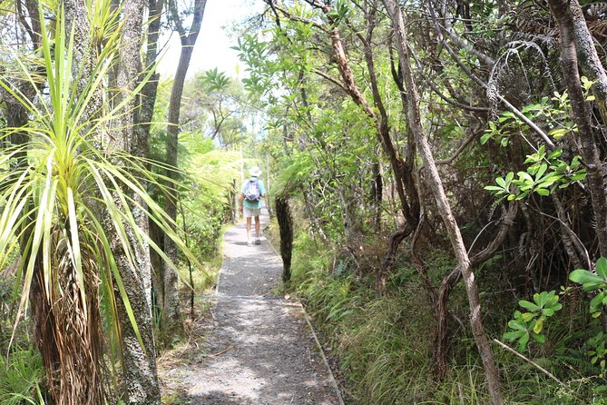 Tiritiri Matangi Island Discovery - from Auckland - Key highlights to watch for