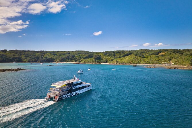 Tiritiri Matangi Island Discovery - from Auckland - Tracks, cliff tops, and a lighthouse you can actually visit