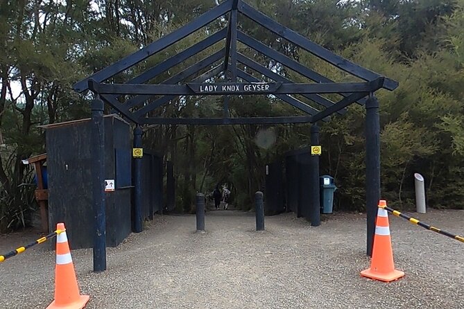 TRIPLE DEAL Wai-O-Tapu, Redwood Forest & Blue Springs Ex Auckland - Whakarewarewa Forest redwoods: calm after steam (and planted in 1901)