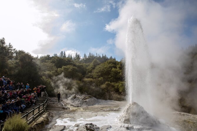 TRIPLE DEAL Wai-O-Tapu, Redwood Forest & Blue Springs Ex Auckland - Tirau’s Dog and Sheep: quick, quirky, and actually worth the stop