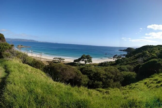 Twilight Wild Kiwi Bird Encounter Private Tour - Getting there from Auckland: pickup, private van, and comfort perks
