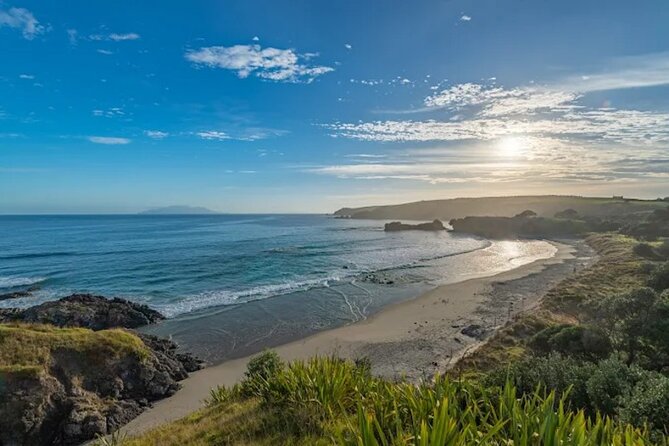 Twilight Wild Kiwi Bird Encounter Private Tour - Value check: what $589.54 per person is buying you