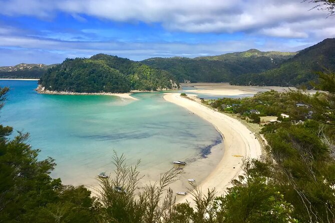 Twilight Wild Kiwi Bird Encounter Private Tour - Who should book (and who might reconsider)