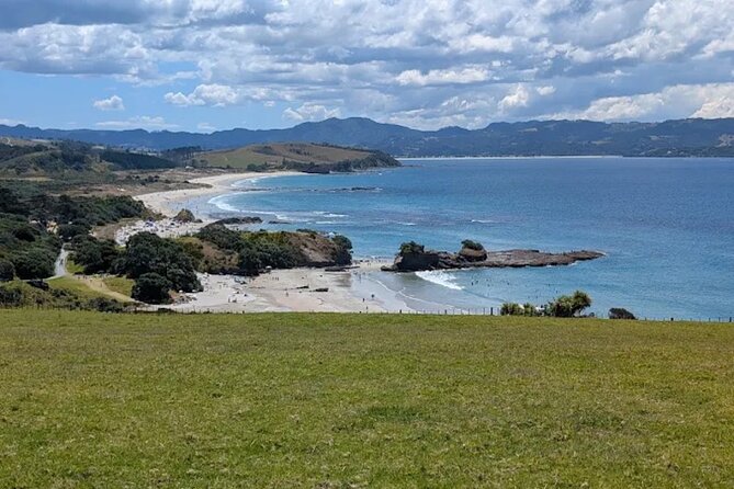 Twilight Wild Kiwi Bird Encounter Private Tour - Small planning tips that improve your odds