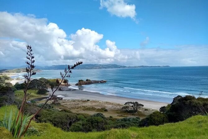 Twilight Wild Kiwi Bird Encounter Private Tour - Should you book the Twilight Wild Kiwi Bird Encounter?